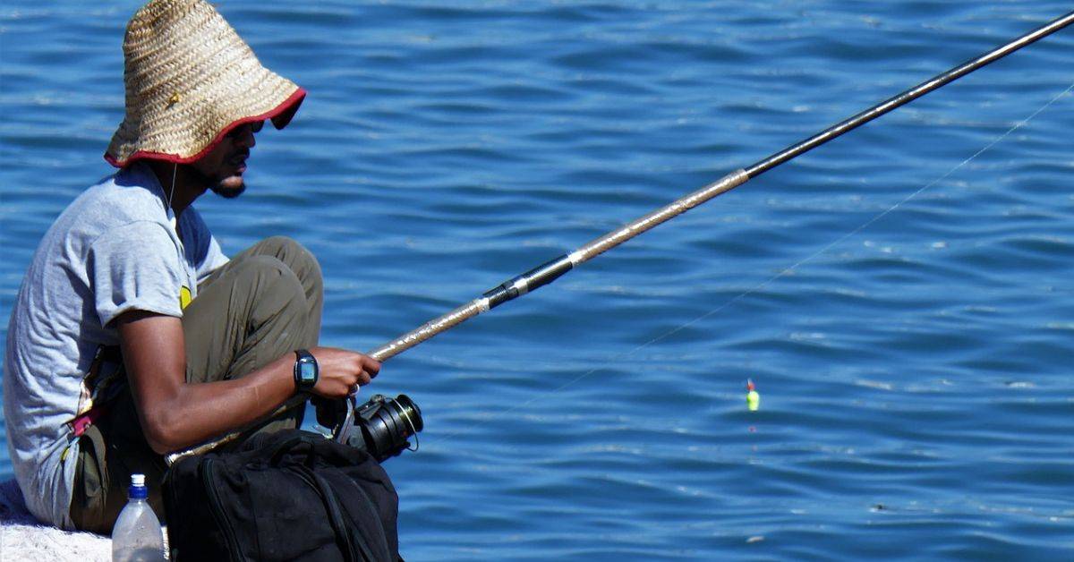 best Surf fishing rods